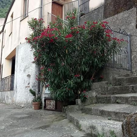 Appartamento L'Oleandro Maratea Esterno foto